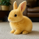 Coelho Orelhudo Realista