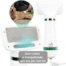 escova secadora beneficios